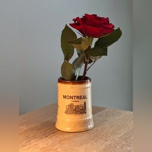 Canada Montreal Souvenir Ceramic Stoneware Stein Mug| Collectible Souvenir